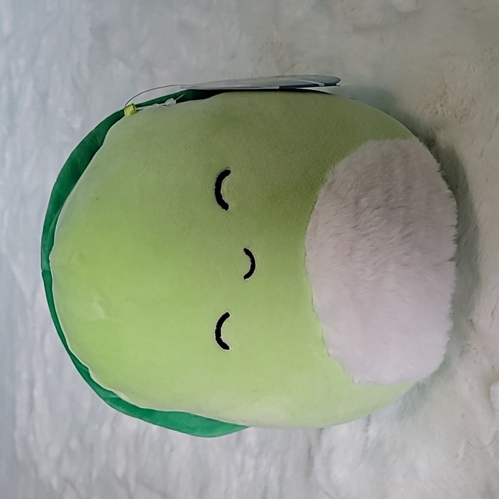 🐢 Henry the Happy Turtle Squishmallows
